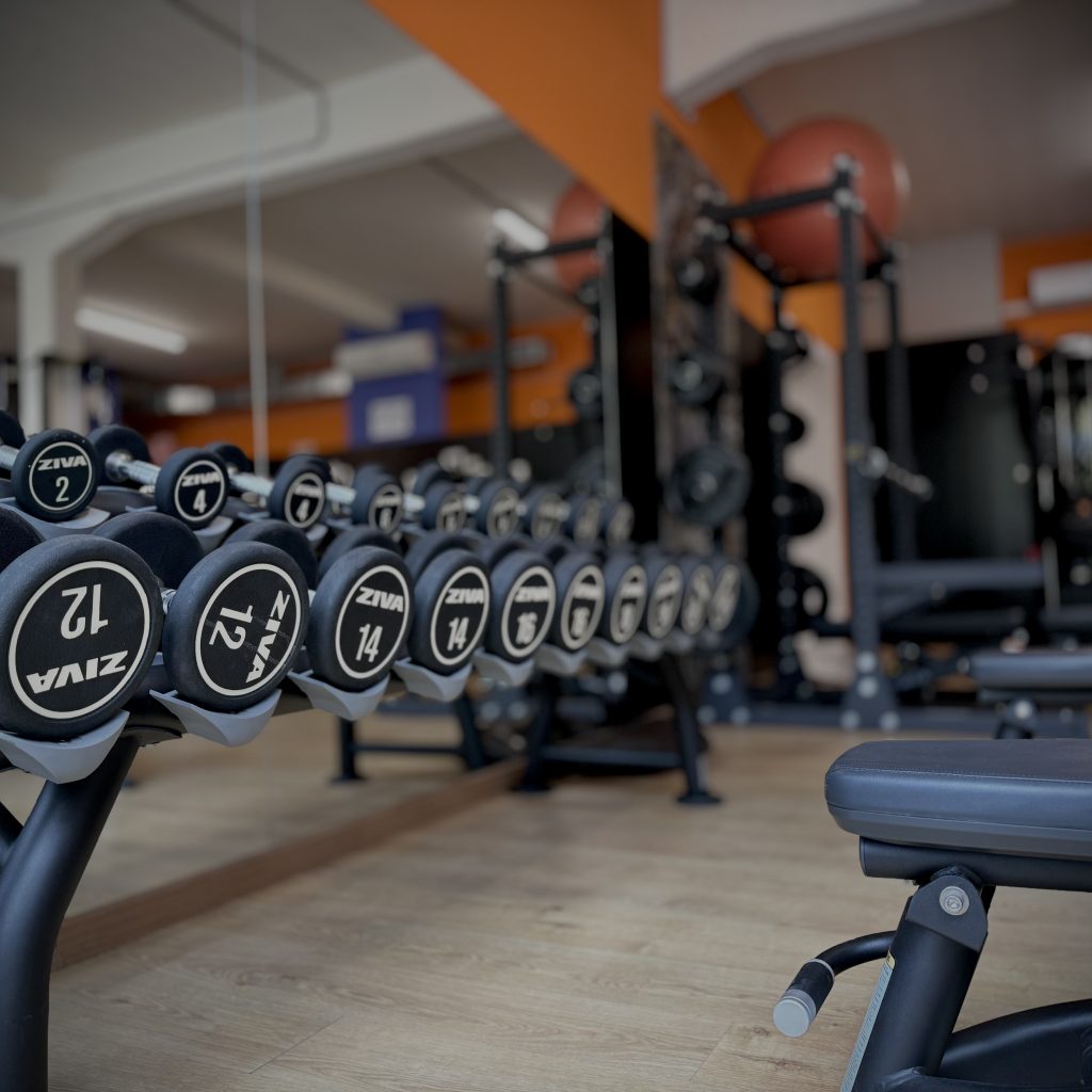 palestra-naonisgym-allenamento-convenzione-studenti-pordenone