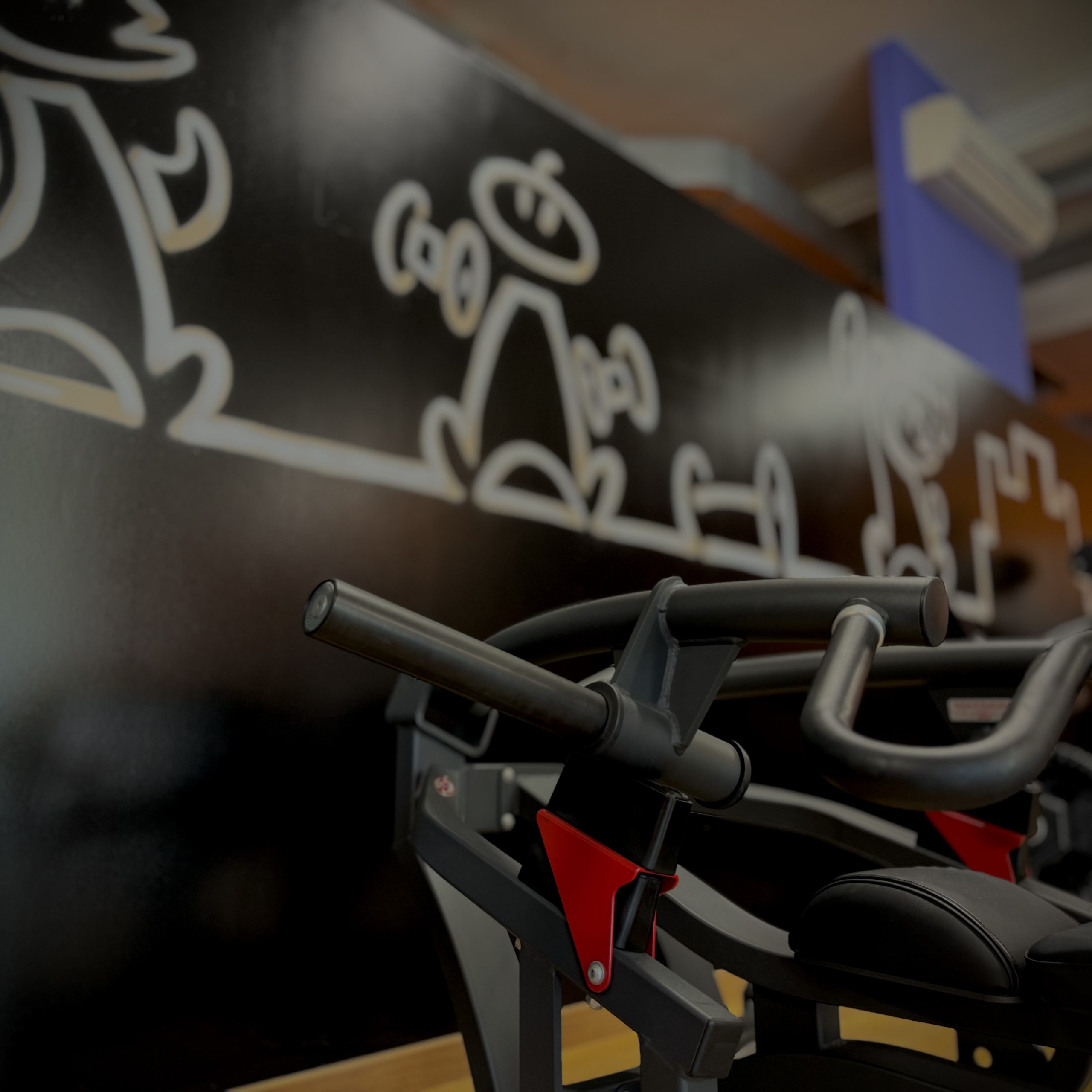 palestra-naonisgym-allenamento-convenzione-studenti-pordenone