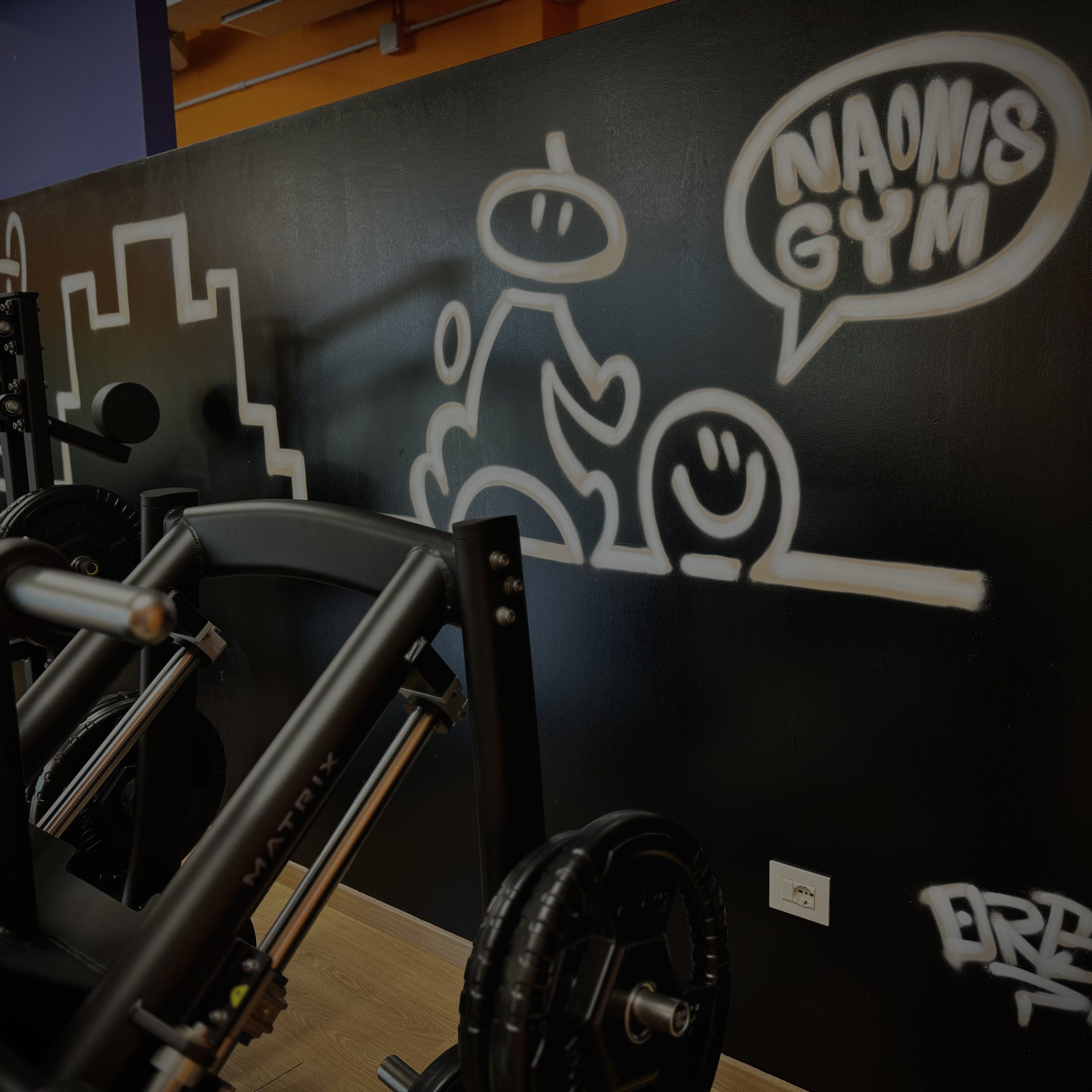 palestra-naonisgym-allenamento-convenzione-studenti-pordenone
