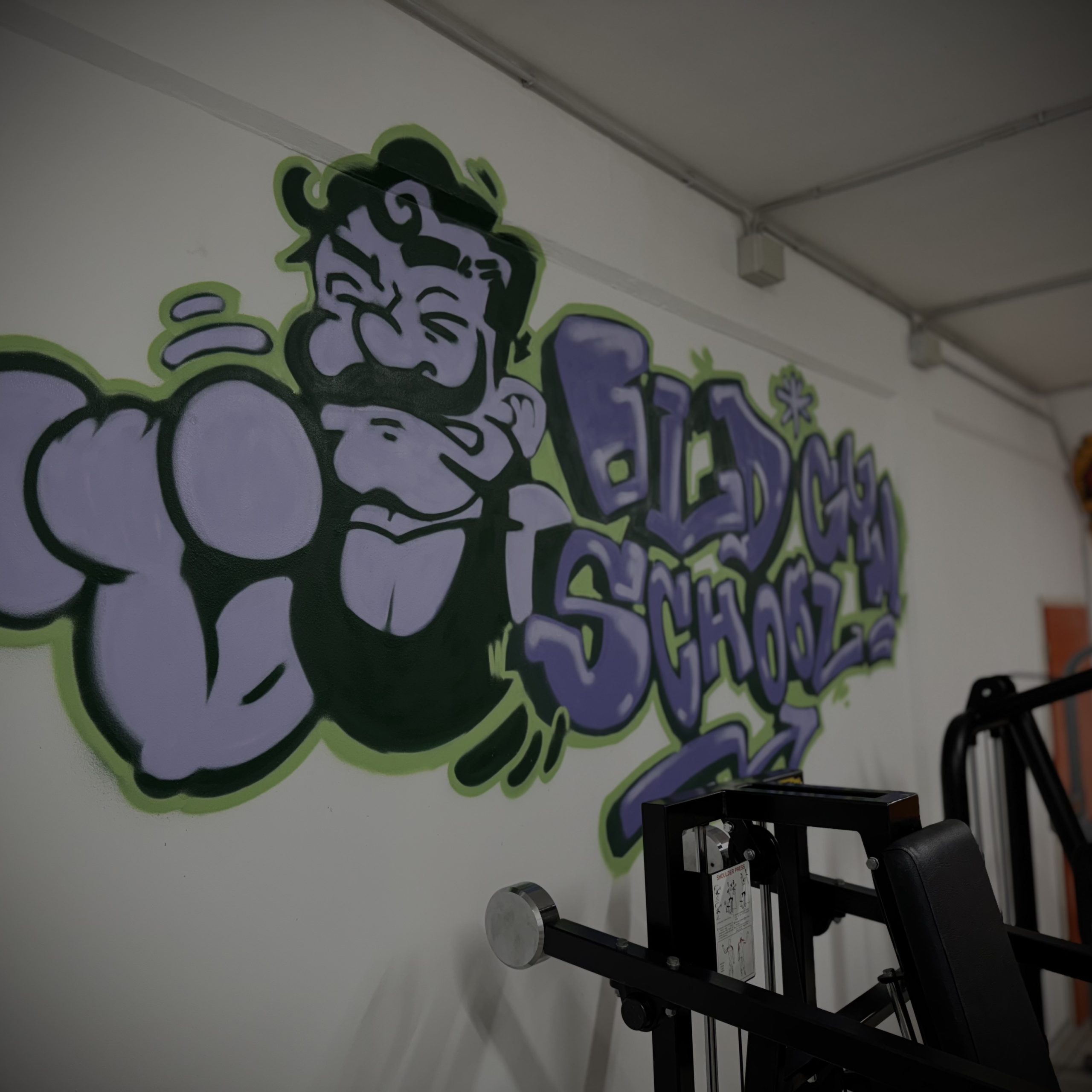 palestra-naonisgym-allenamento-convenzione-studenti-pordenone