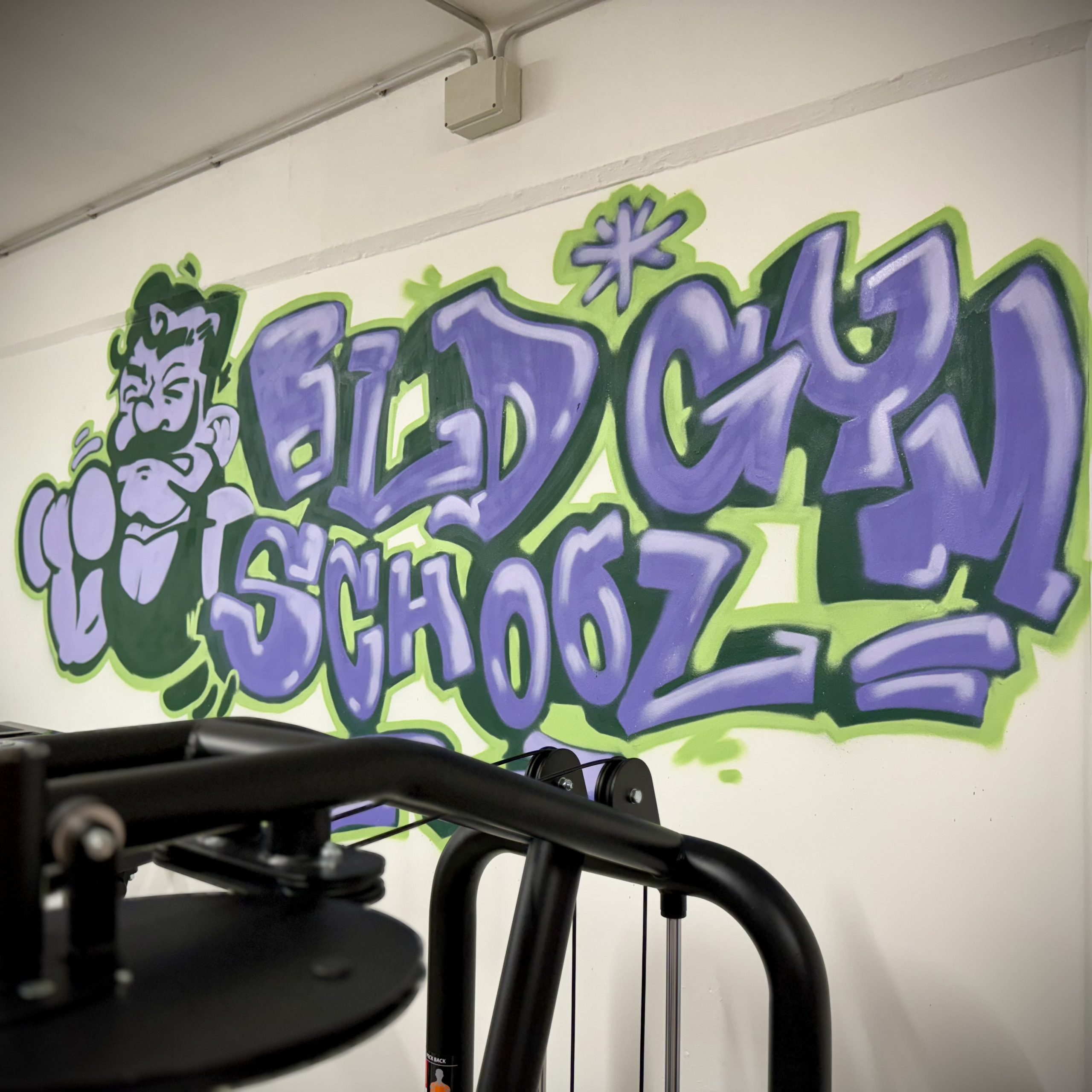 palestra-naonisgym-allenamento-convenzione-studenti-pordenone
